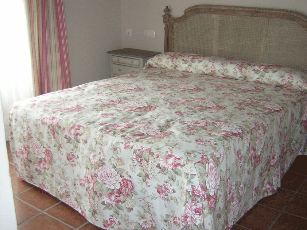 Hotel La Casona De Dona Petra Villarmentero de Campos Zewnętrze zdjęcie